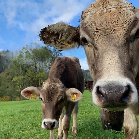 Alpenlaendischer Chic Oberstdorf Eksteriør bilde